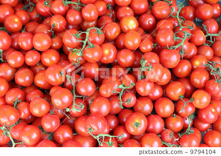 lot of ripe tomato lot of ripe tomato 9794104