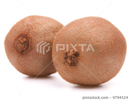 Kiwi fruit 9794324