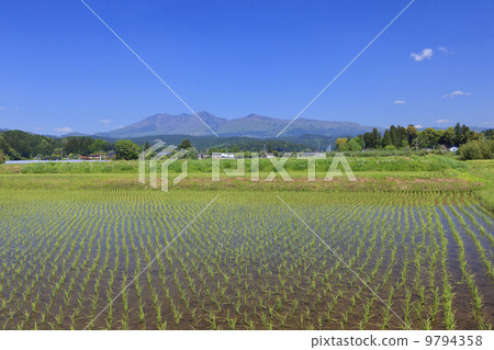 Rural landscape · Paddy field after rice planting Rural landscape · Paddy field after rice planting 9794358