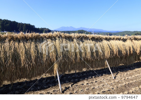 Rural landscape · Rain-headed rain sun-dried sun 9794647