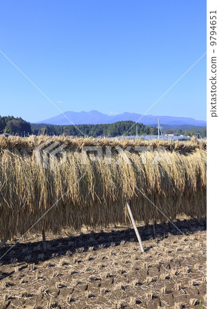 Rural landscape · Rain-headed rain sun-dried sun 9794651
