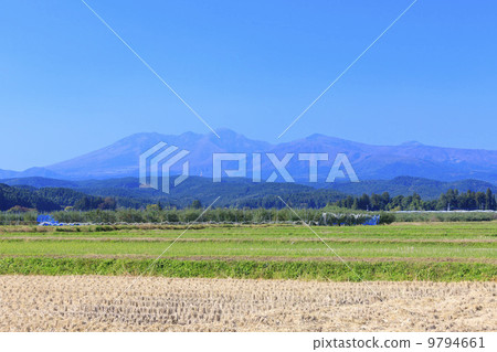 Rural landscape · Paddy field after harvesting 9794661