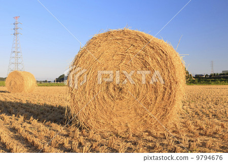 Country landscape · winding of paddy after harvesting Country landscape · winding of paddy after harvesting 9794676
