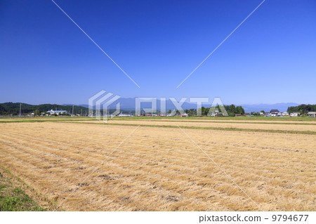 Rural landscape · Paddy field after harvesting Rural landscape · Paddy field after harvesting 9794677