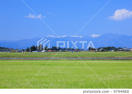 國家風景·在米領域上升前的稻田 9794868