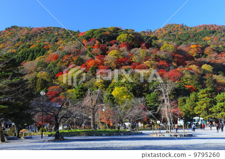 從Arashiyama公園Nakanoshima地區的秋葉 9795260