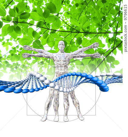 Image of human body and gene arrangement Image of human body and gene arrangement 9796615
