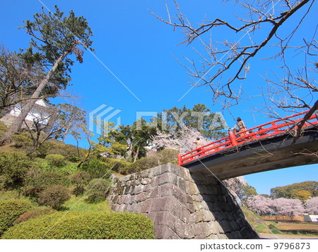 Odawara Castle in Spring Odawara Castle in Spring 9796873
