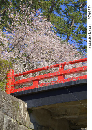 Odawara Castle in Spring Odawara Castle in Spring 9796874