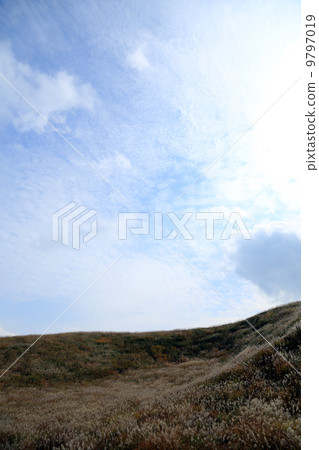 阿蘇種族山的Susuki 9797019