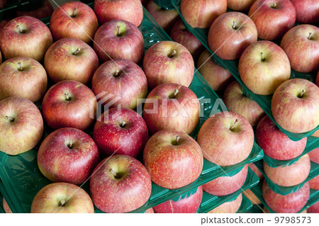 蘋果農民和蘋果入選 蘋果農民和蘋果入選 9798573