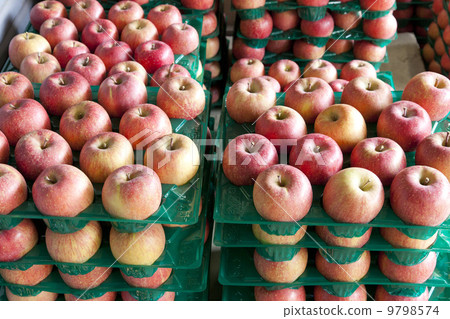 蘋果農民和蘋果入選 蘋果農民和蘋果入選 9798574