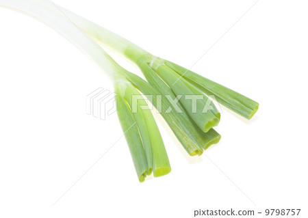 Winter vegetables · green onion Winter vegetables · green onion 9798757