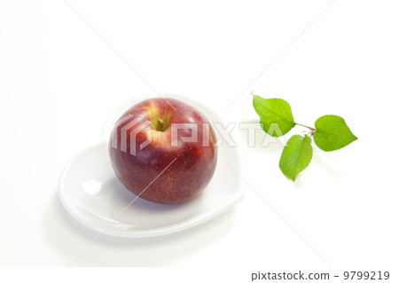 蘋果和秋天的風景 9799219