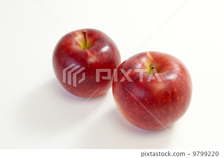 蘋果和秋天的風景 9799220