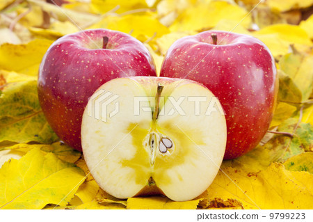 Apple and Sun Fuji Apple and Sun Fuji 9799223