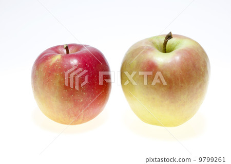 Apple和Jonah金和月亮 Apple和Jonah金和月亮 9799261