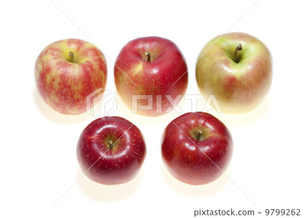 Apple and Jonah gold and the moon and ice Apple and Jonah gold and the moon and ice 9799262