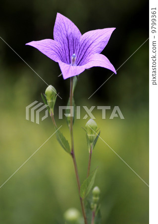 One wheelchair 9799361