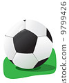 Football in a grass 9799426