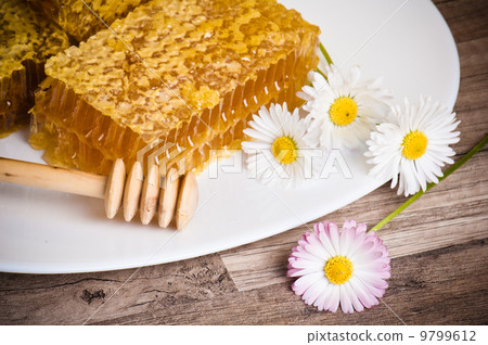 honeycomb with daisies on white plate honeycomb with daisies on white plate 9799612