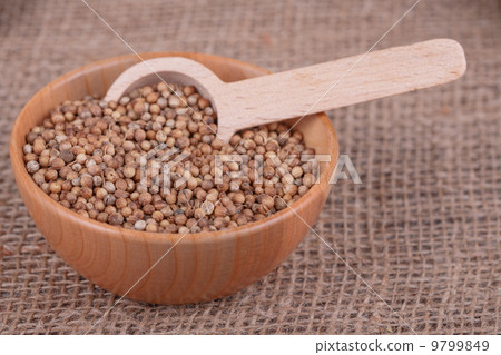 coriander seeds coriander seeds 9799849