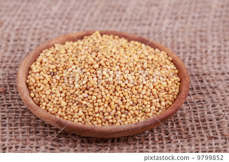 mustard seeds mustard seeds 9799852
