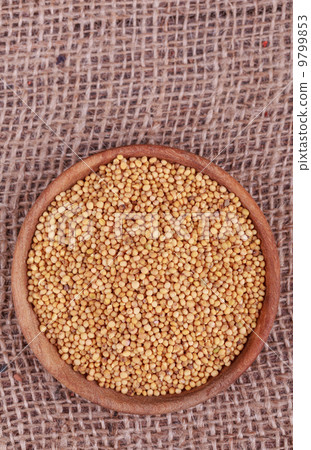 mustard seeds mustard seeds 9799853