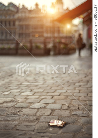 Santiago shell (Pilgrims shell), St James shell in Brussels, Bel Santiago shell (Pilgrims shell), St James shell in Brussels, Bel 9800137