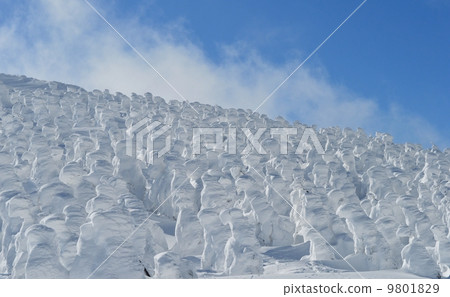 Yamagata Zao的Lake Ice Group Yamagata Zao的Lake Ice Group 9801829