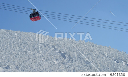 Yamagata Zao的樹冰原 9801830