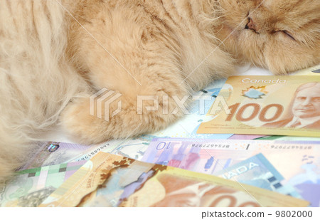 Don't let your money sleep 9802000