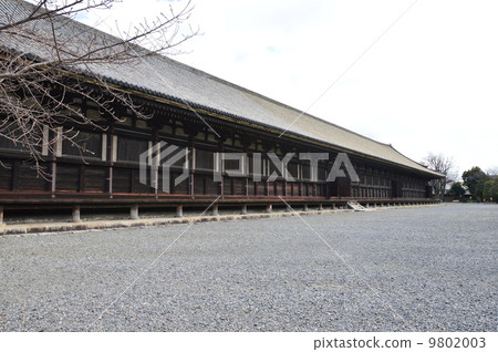 Sanjusangen-do（Renka Owon）的“Hondo”（京都市東山區Sanjusangendo Rikocho） 9802003