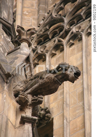 Prague castle's gargoyle 9802199