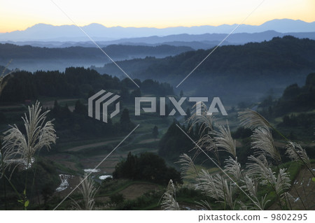 Asahi of Matsunoyama 9802295