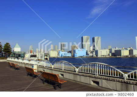 竹芝碼頭公園 9802460