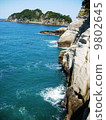 Izu West coast cliff 9802645