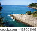 Izu West coast cliff 9802646