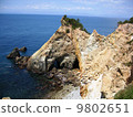 Koganezaki 9802651
