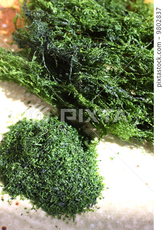 Green dried bonito flour dried at home 9802837