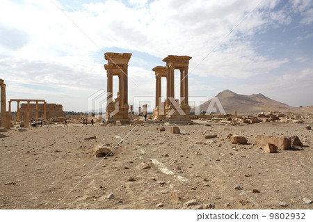 巴爾米拉仍然存在 巴爾米拉仍然存在 9802932