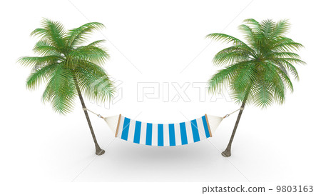 Two palm and hammock 9803163