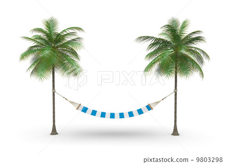 Two palm and hammock 9803298