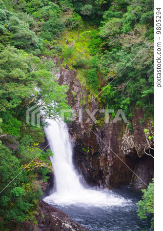 屋久島千尋的瀑布 9805294