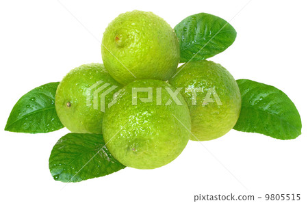 Fresh lime green 9805515