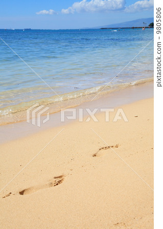 Footsteps 9805806
