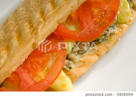 tuna tomato and cheese grilled panini sandwich tuna tomato and cheese grilled panini sandwich 9806009