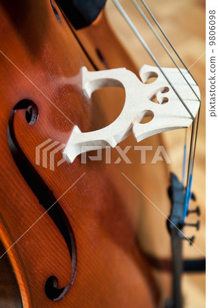 Cello Cello 9806098