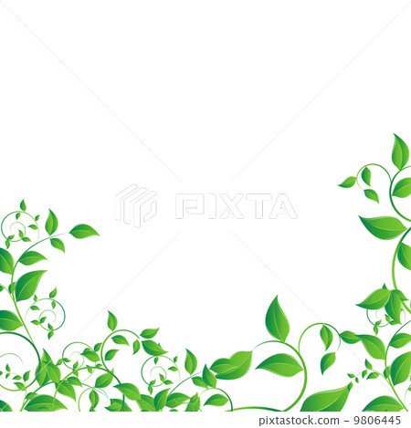 Green leaf 9806445