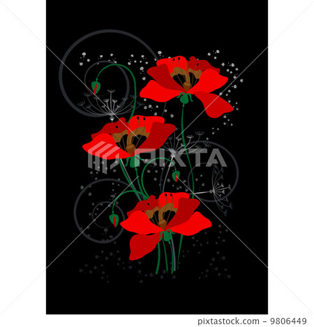 Red poppies on a black background 9806449